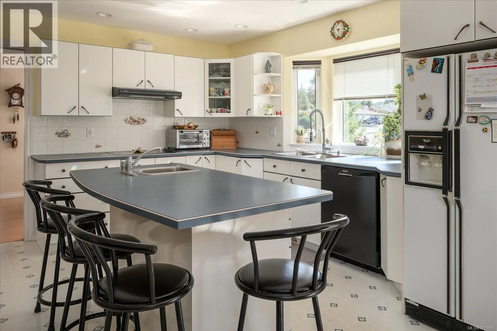 530 Dalmatian Dr