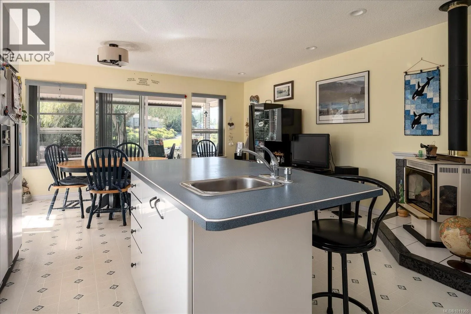 530 Dalmatian Dr