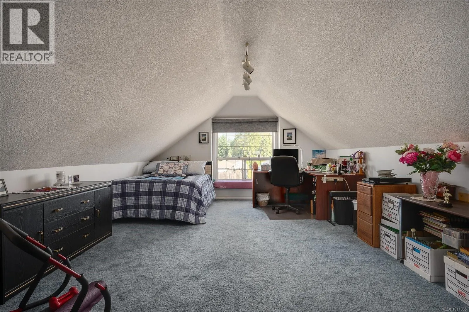530 Dalmatian Dr