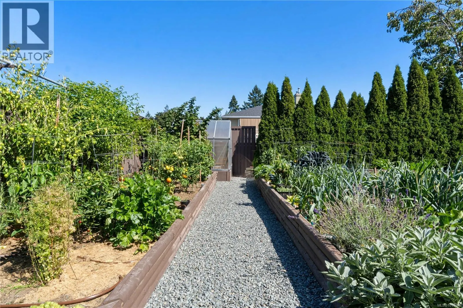 6262 Azure Rd