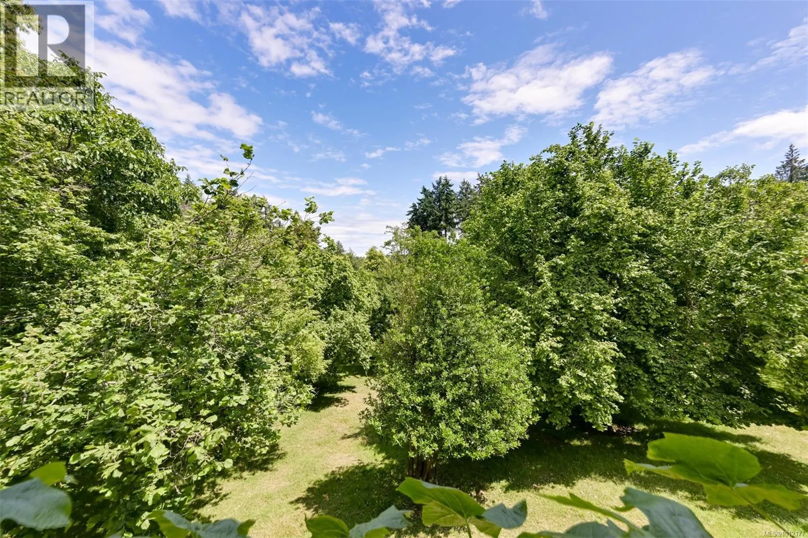 5489 Forest Hill Rd