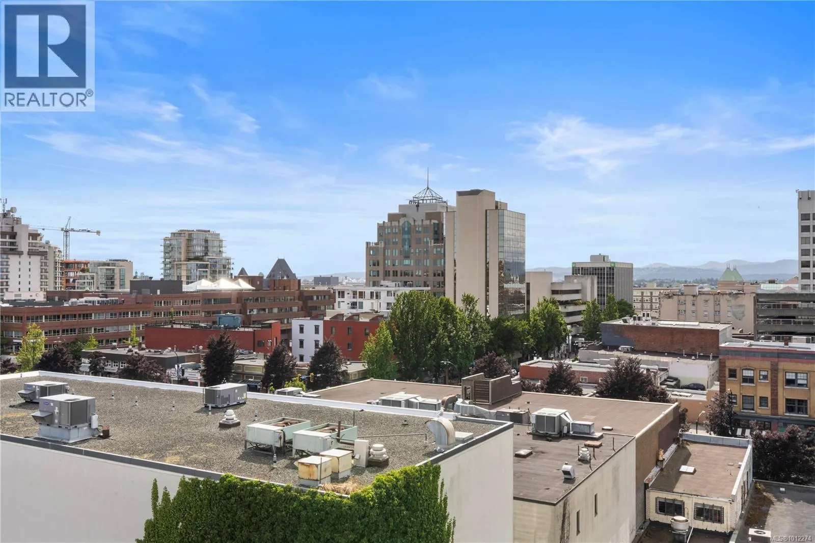 910 835 View St
