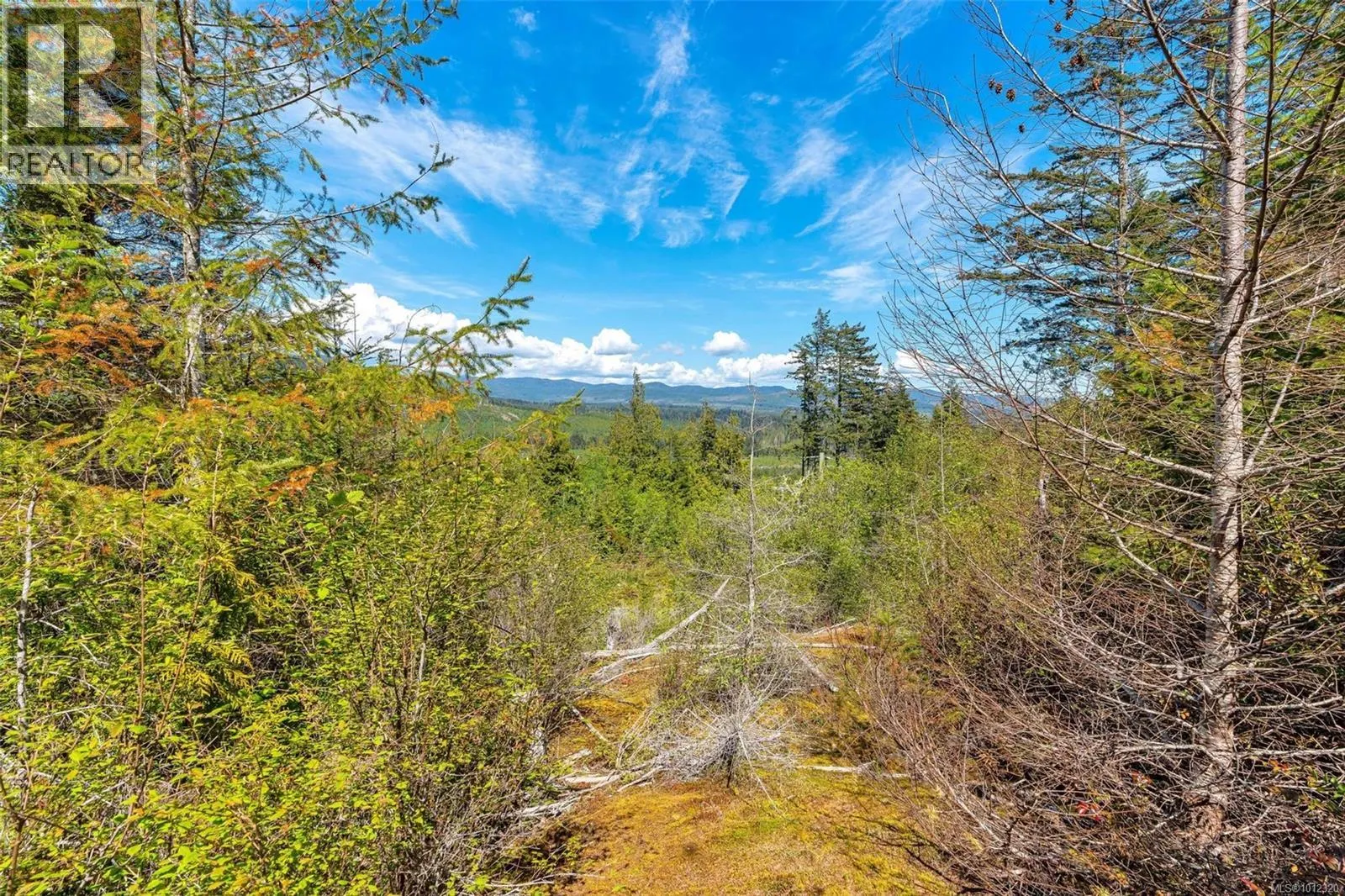 Strata Lot 1 West Coast Rd