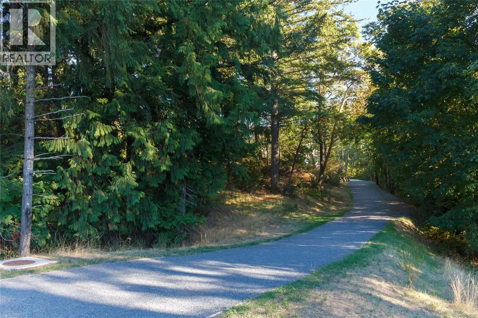 415 1145 Sikorsky Rd