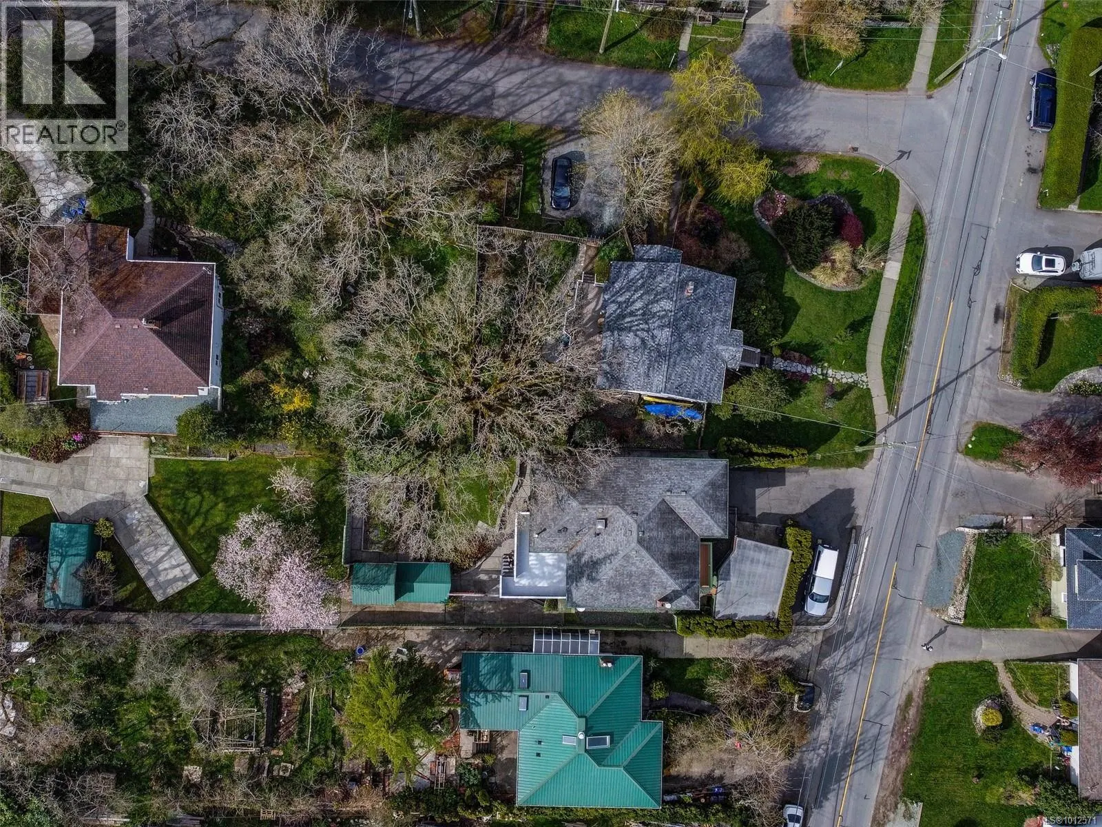 1005 Lodge Ave
