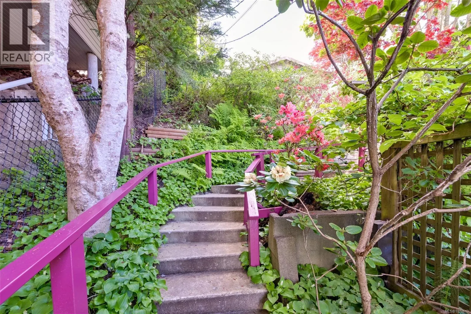 4955 Cordova Bay Rd