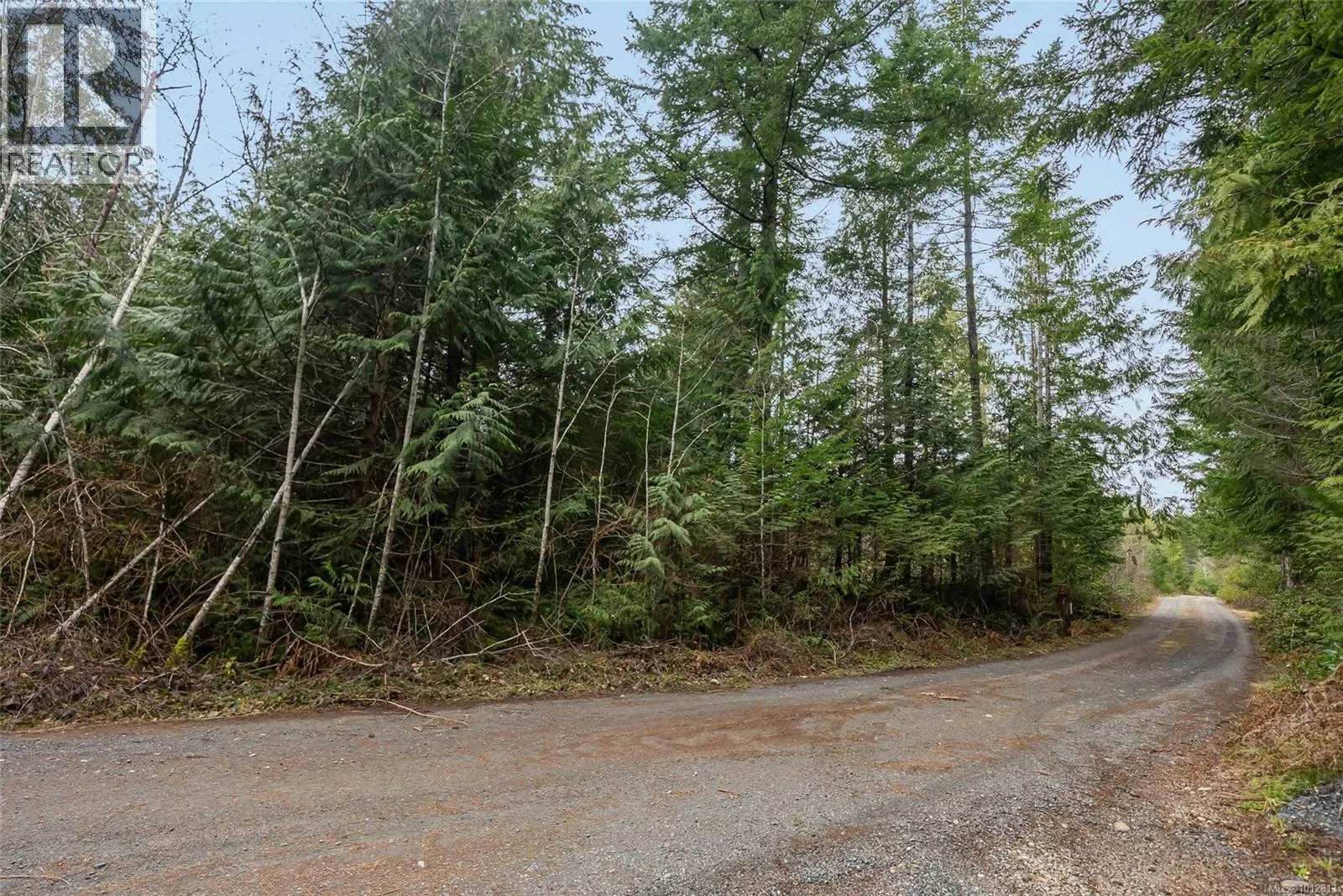815 Spider Lake Rd
