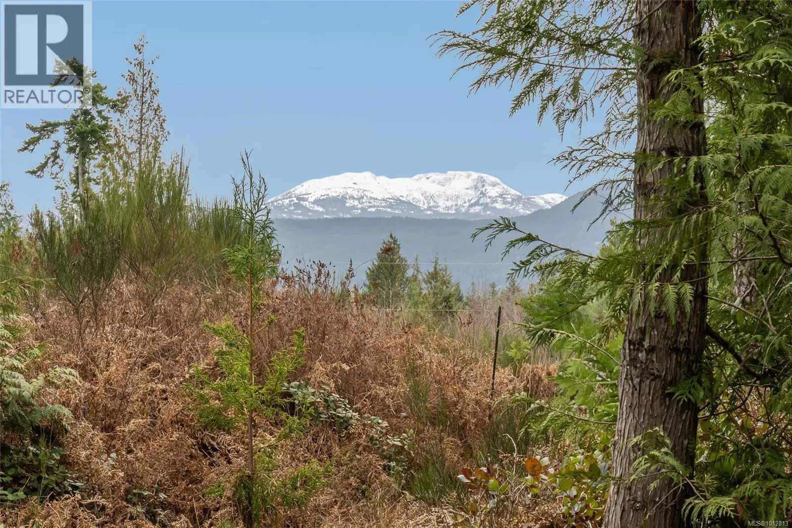 815 Spider Lake Rd