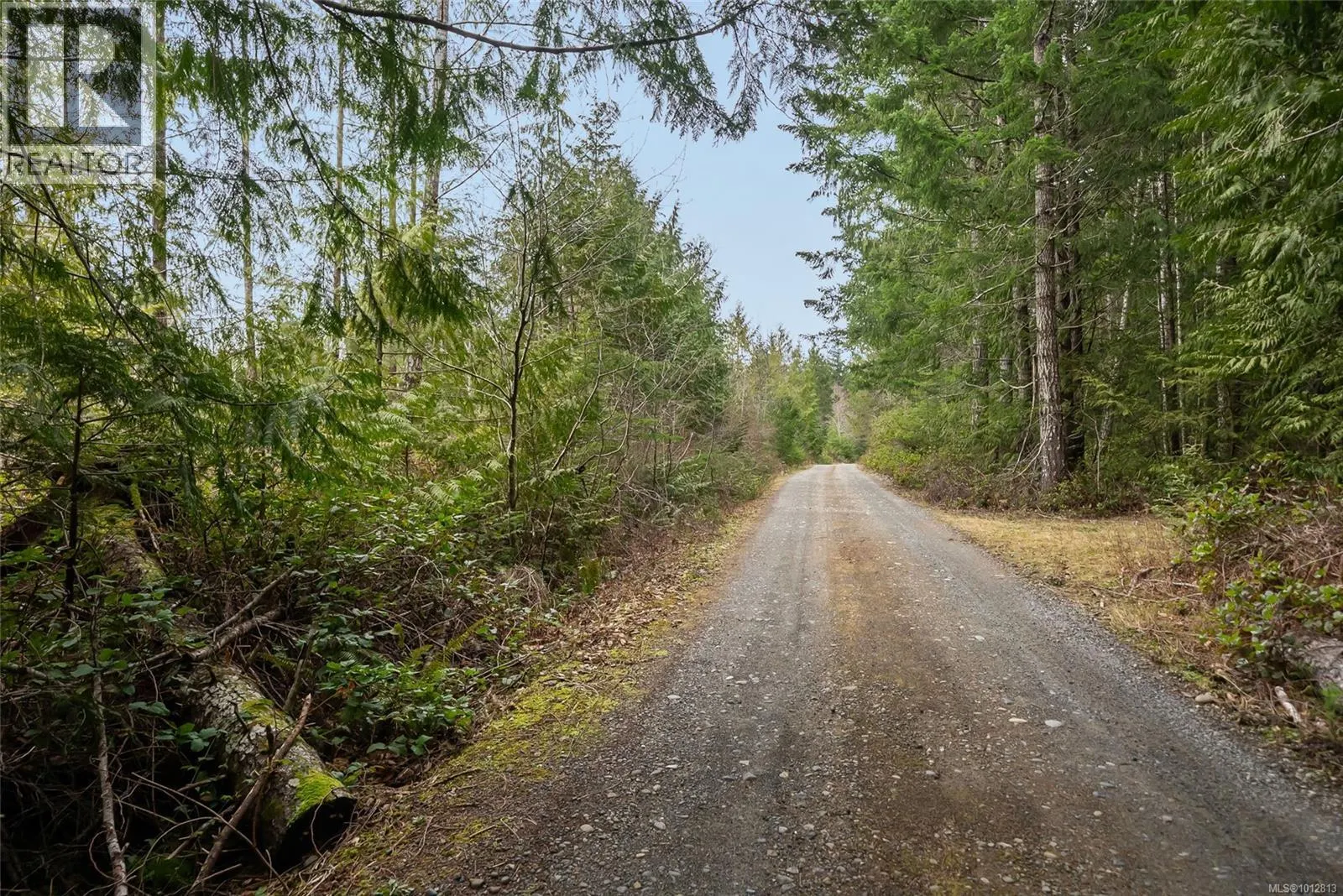 815 Spider Lake Rd