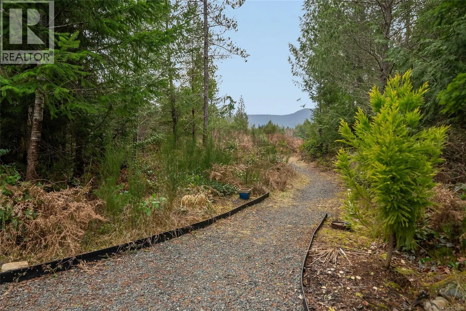 815 Spider Lake Rd