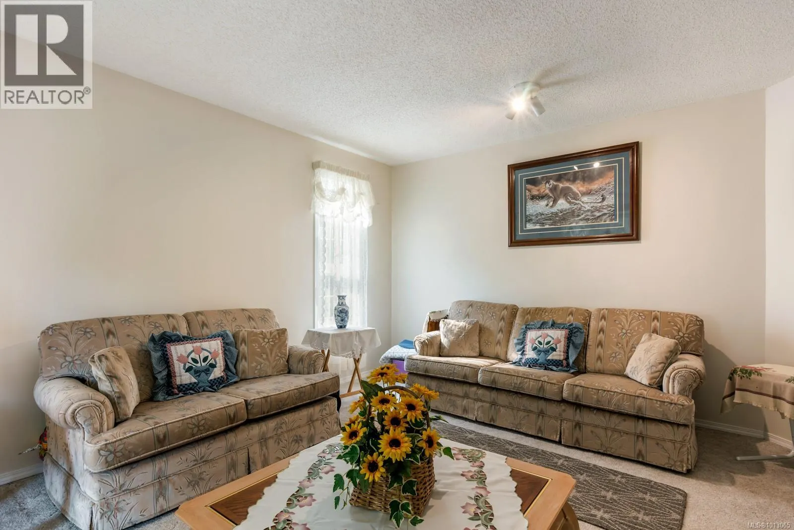 742 Sand Pines Dr