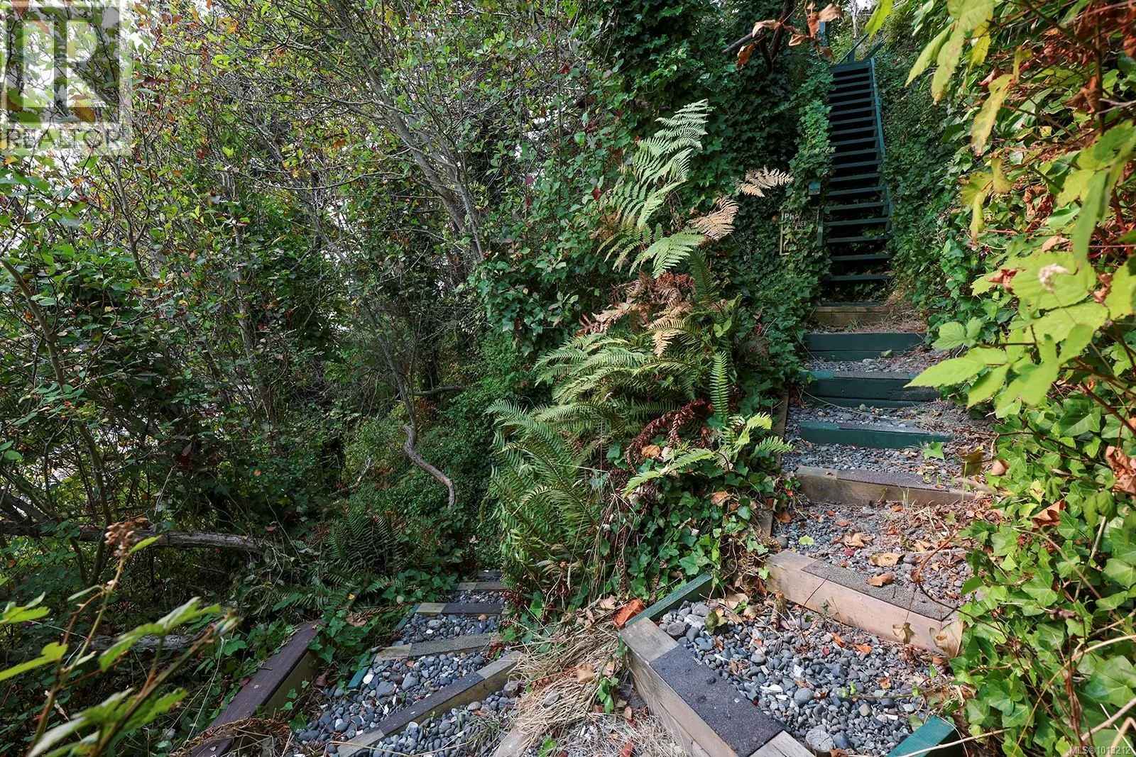 200 Connemara Rd