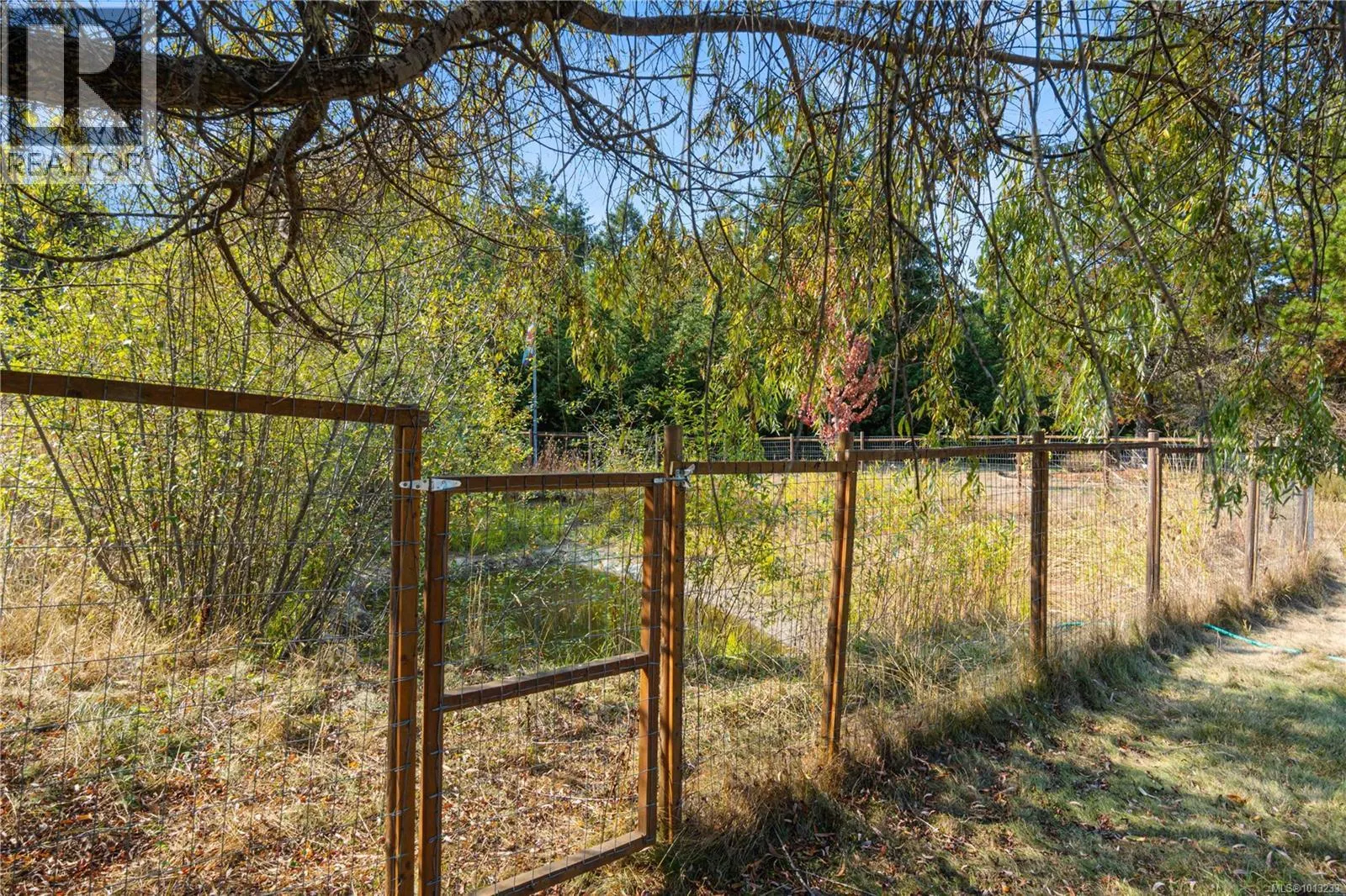 1209 Courtney Rd