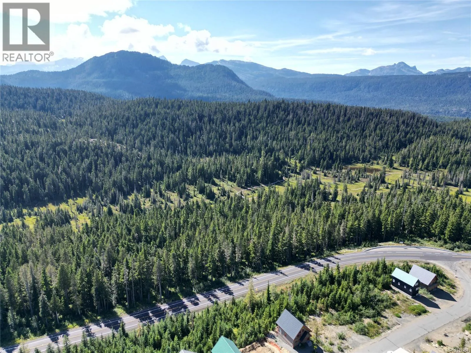 890 Cruikshank Ridge