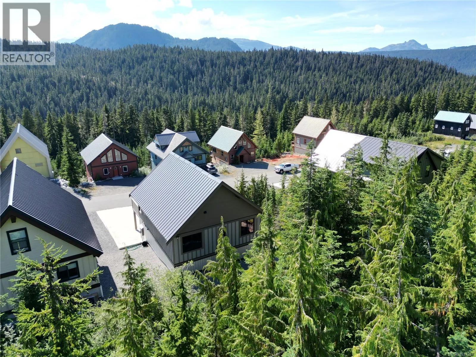 890 Cruikshank Ridge
