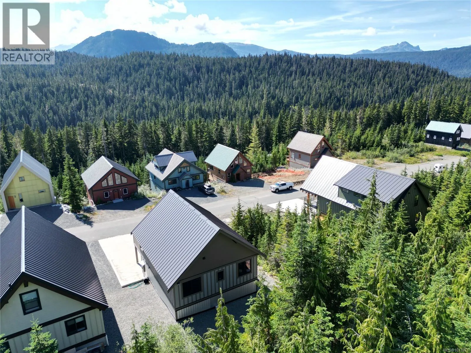 890 Cruikshank Ridge