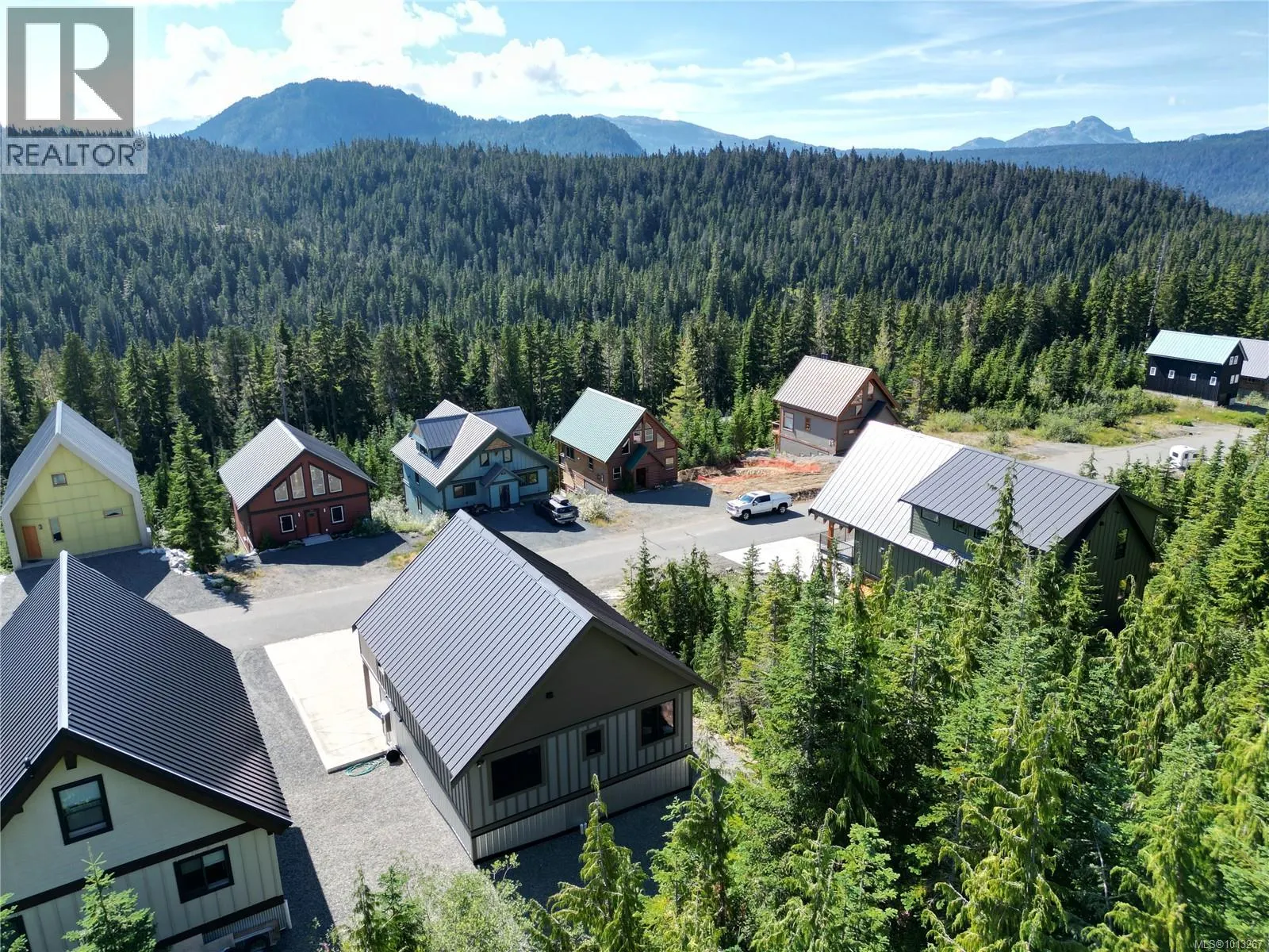890 Cruikshank Ridge