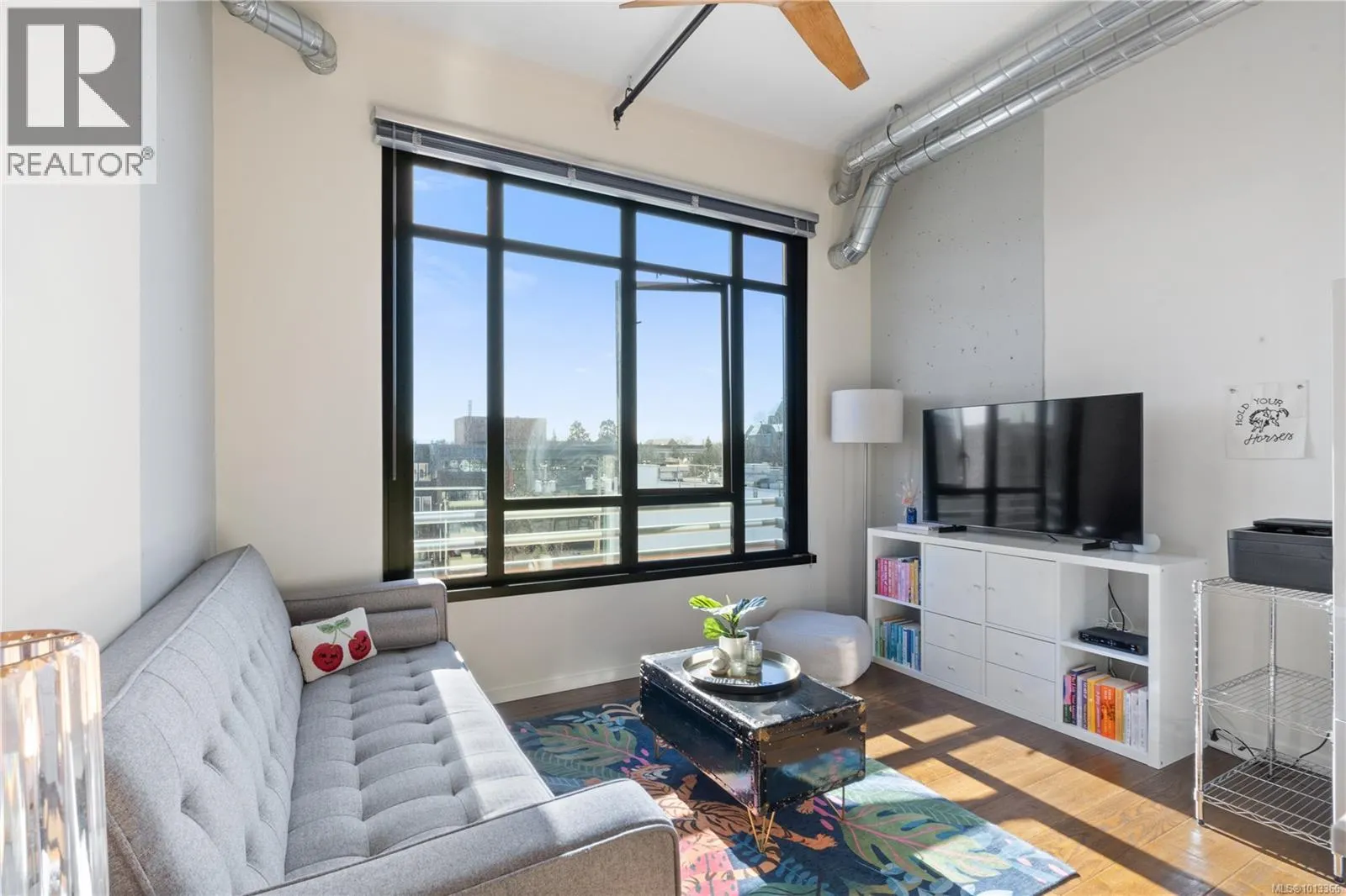 526 1029 View St