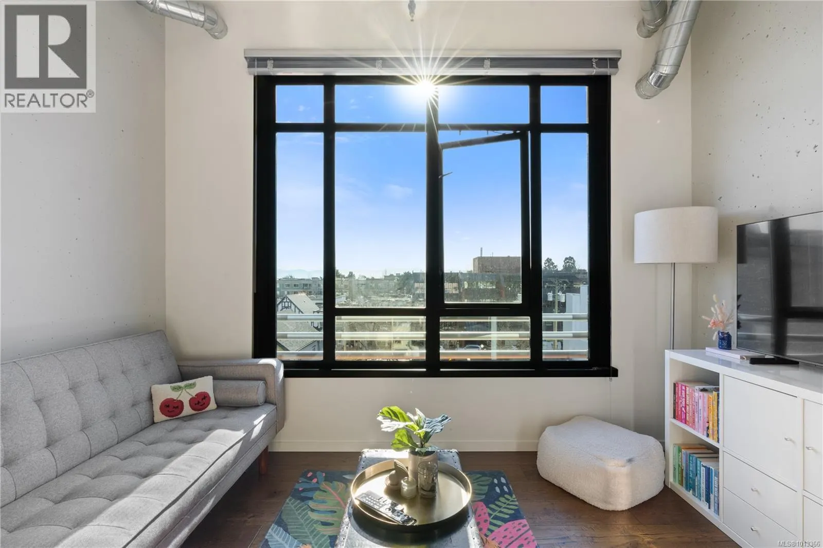 526 1029 View St