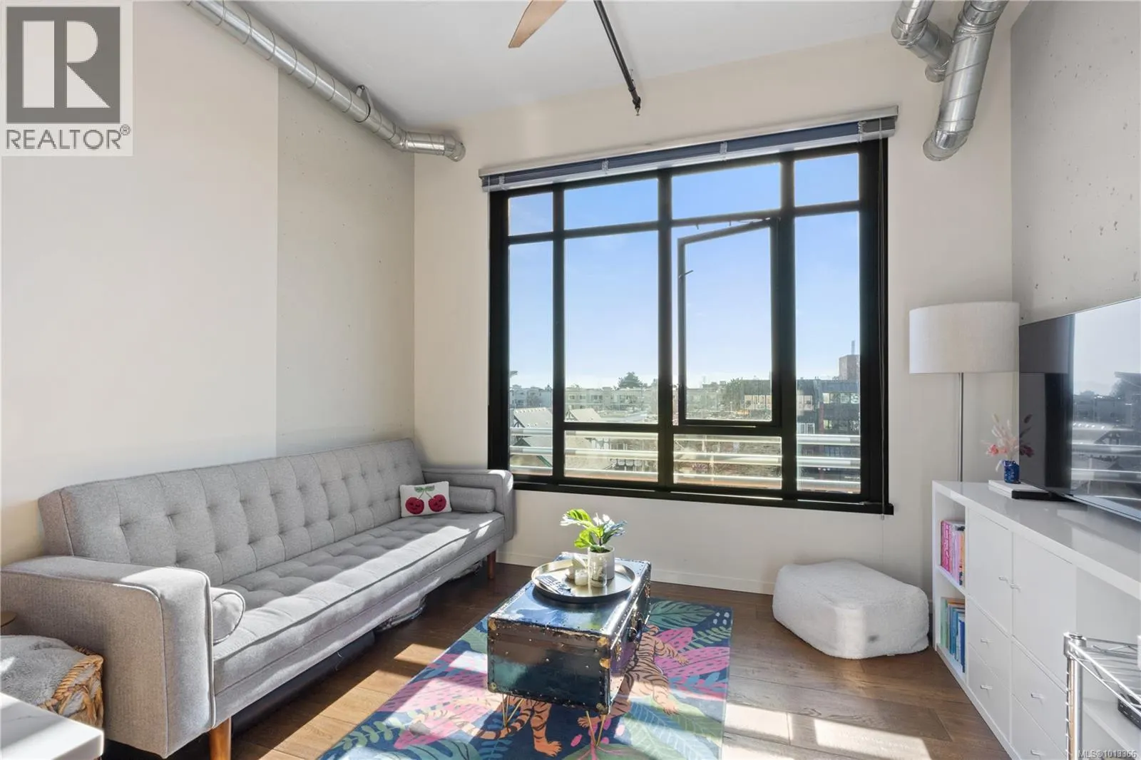526 1029 View St