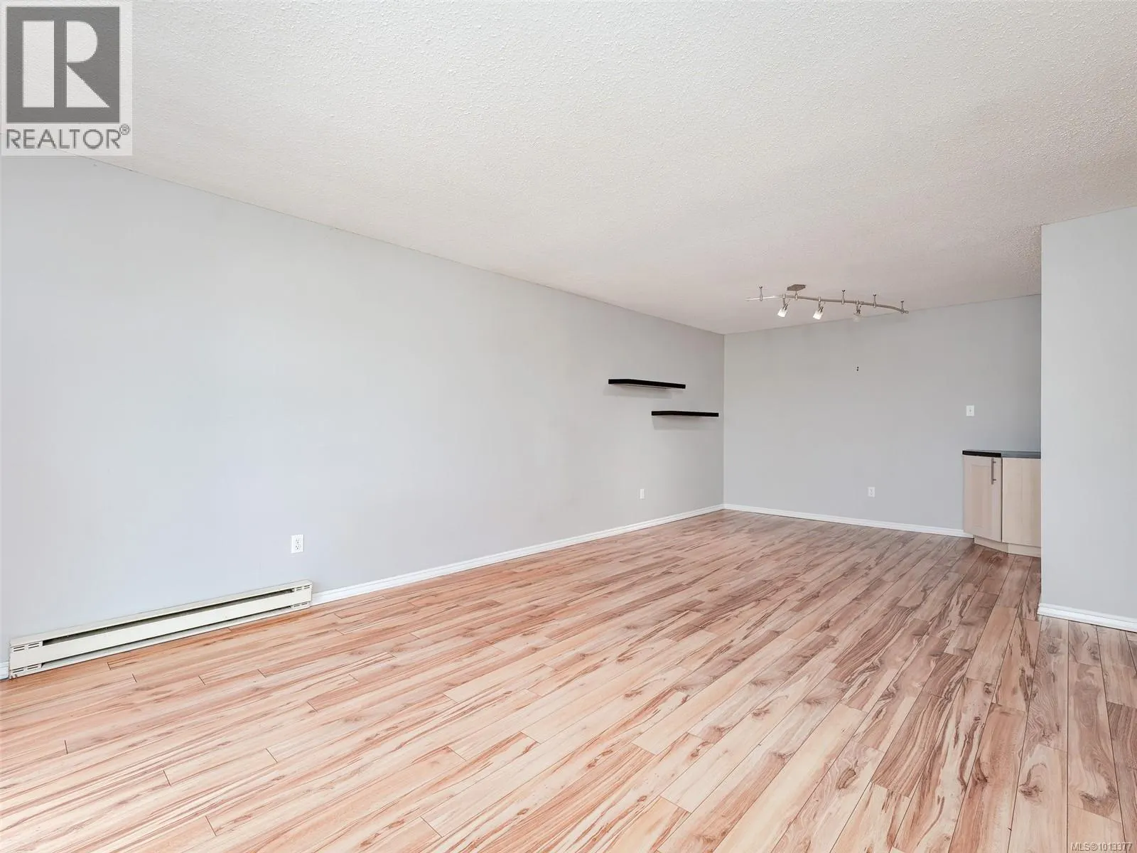 406 859 Carrie St