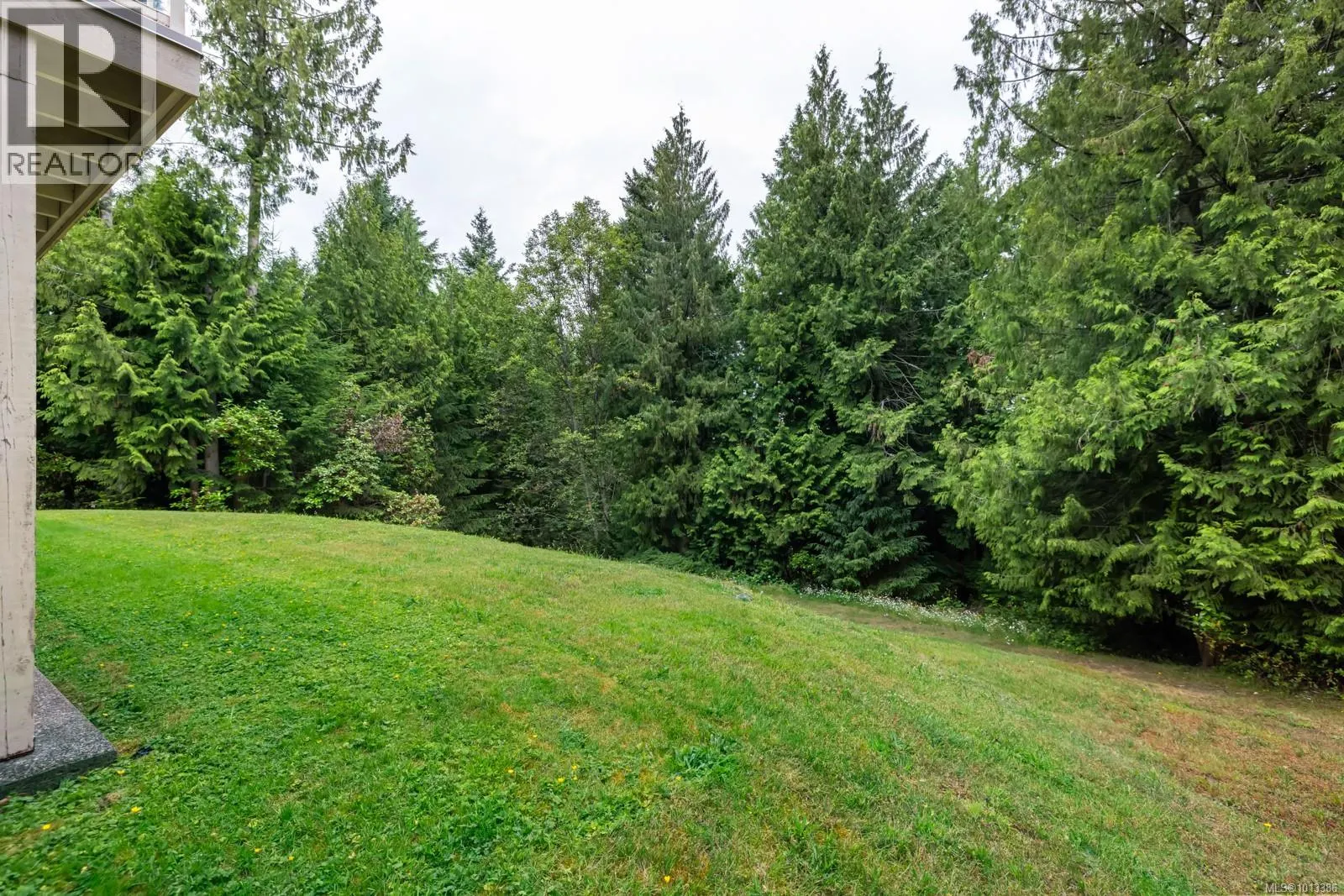 905 Cowerd Rd