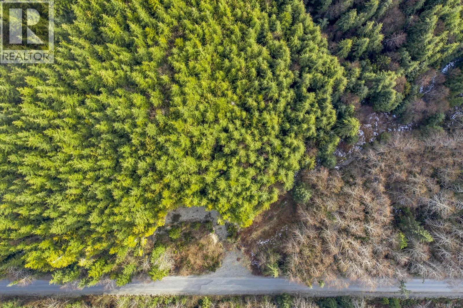 NE1/4SEC15 Gordon River Rd