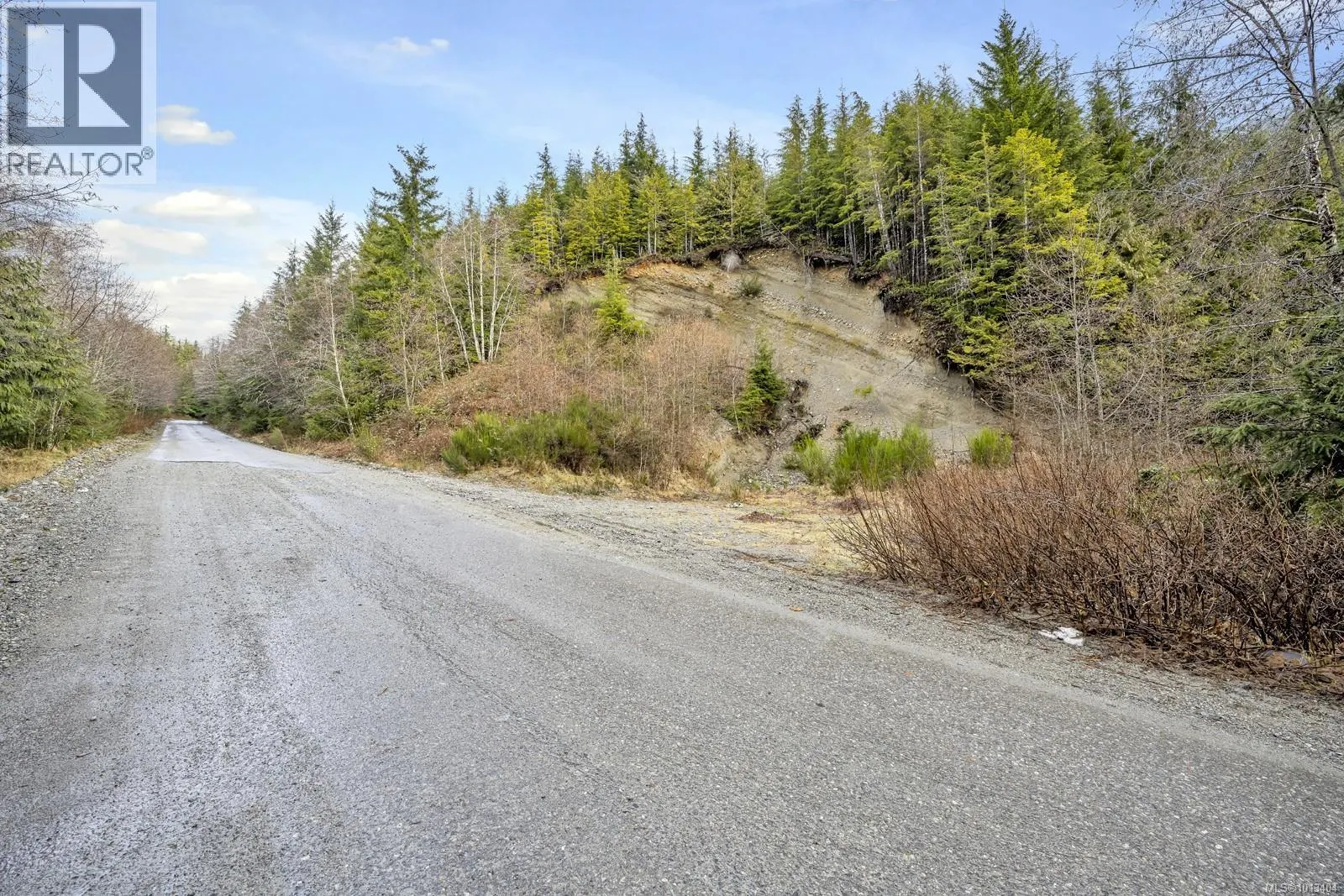 NE1/4SEC15 Gordon River Rd