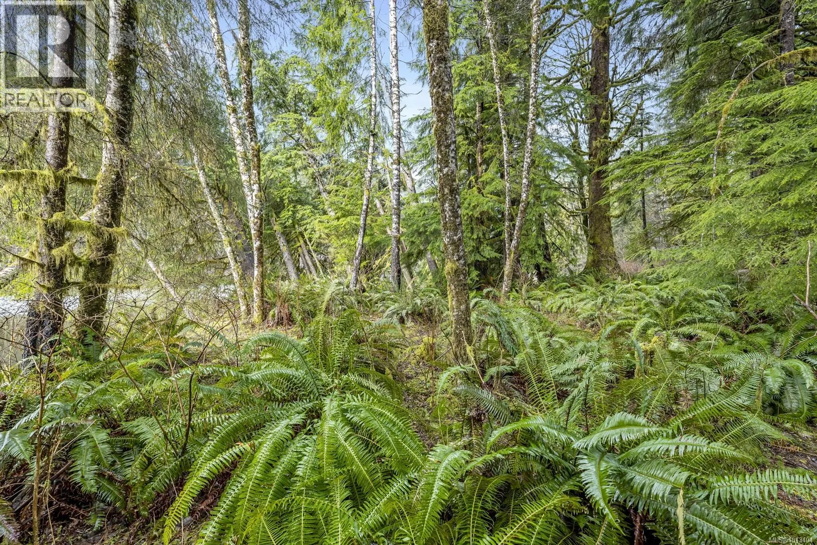 NE1/4SEC15 Gordon River Rd
