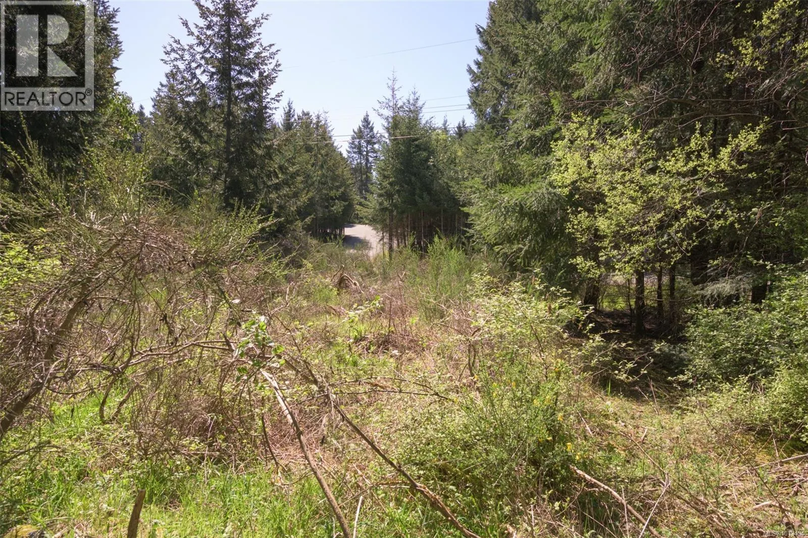 724 Emma Dixon Rd