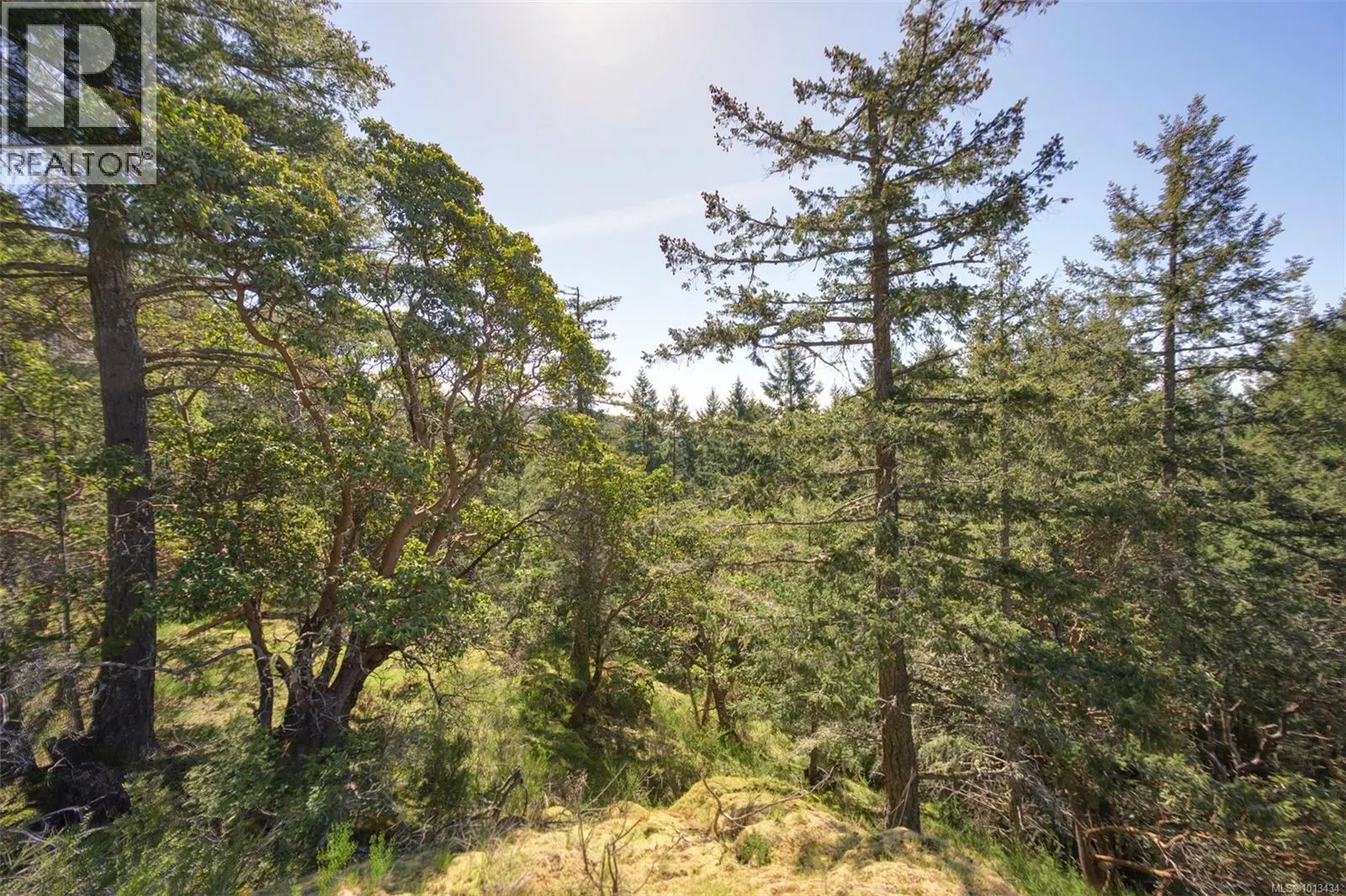 724 Emma Dixon Rd