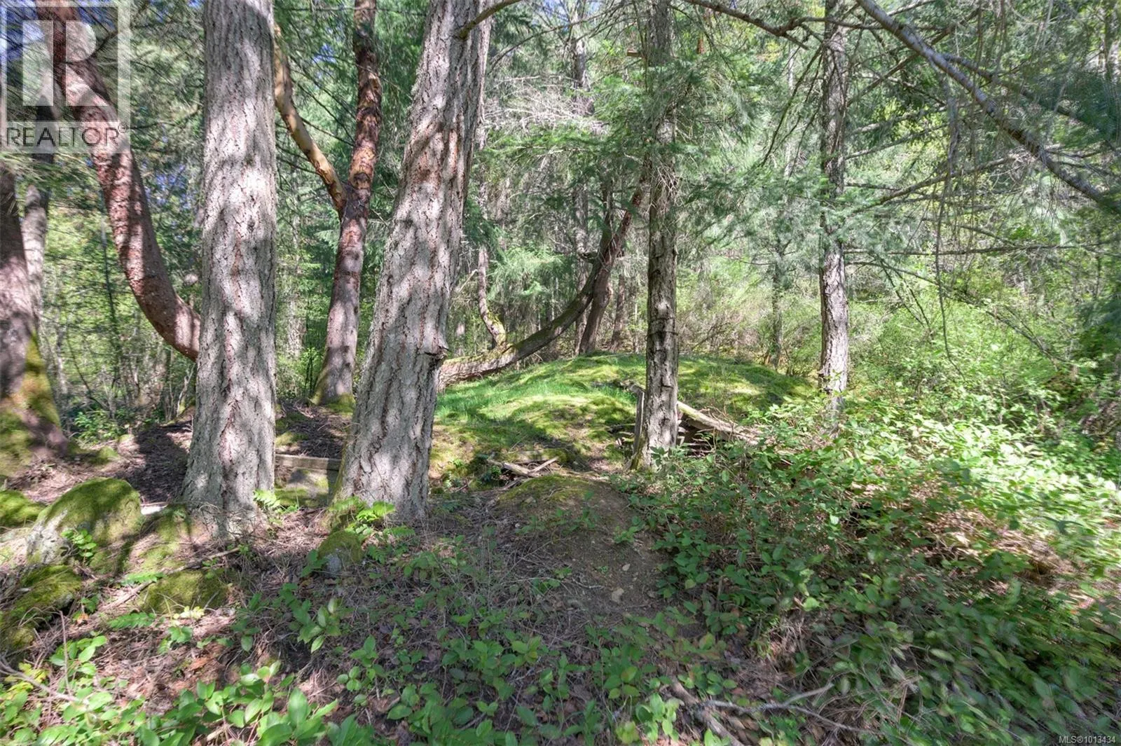 724 Emma Dixon Rd