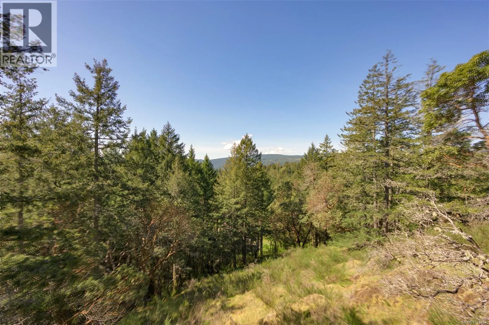 724 Emma Dixon Rd