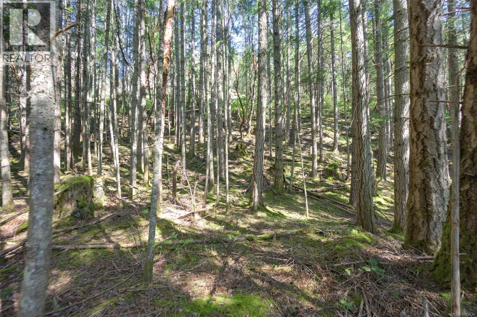 724 Emma Dixon Rd