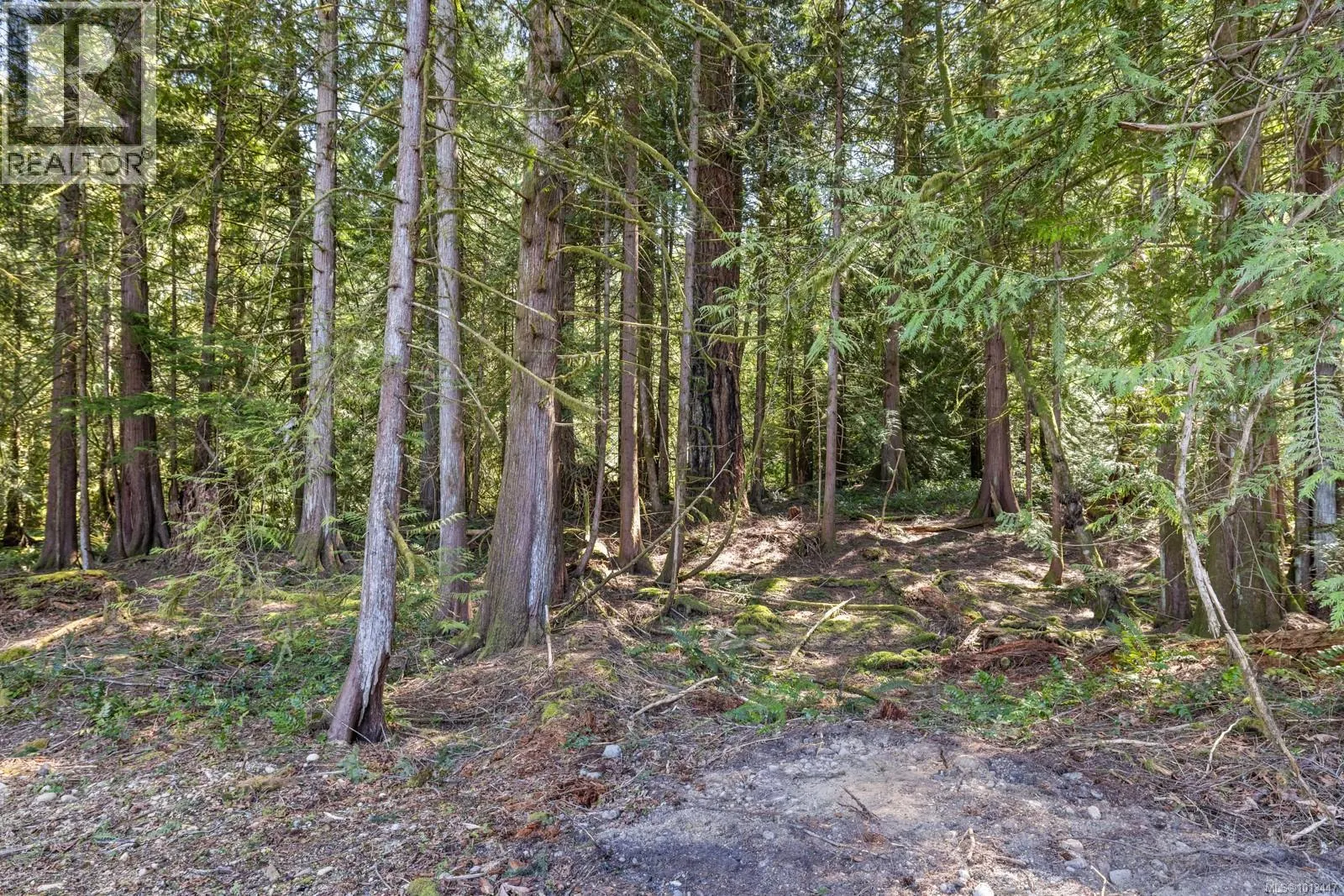 1054 Fern Ridge Dr