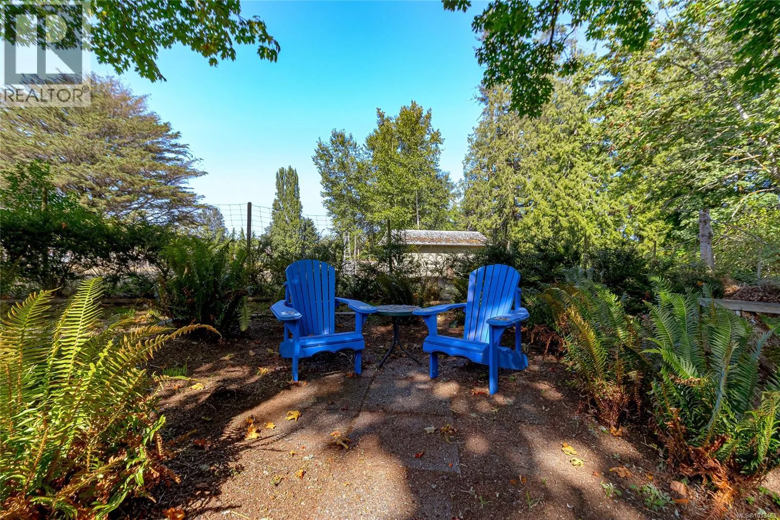 850 Sayward Rd