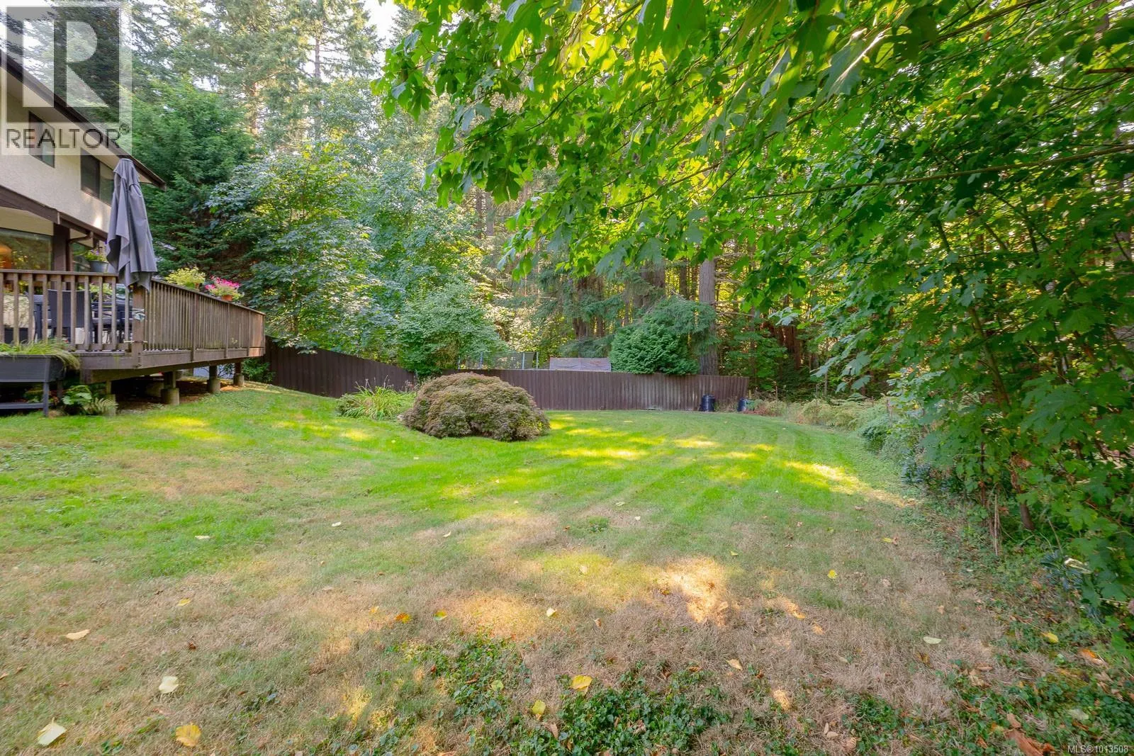 557 Doreen Pl