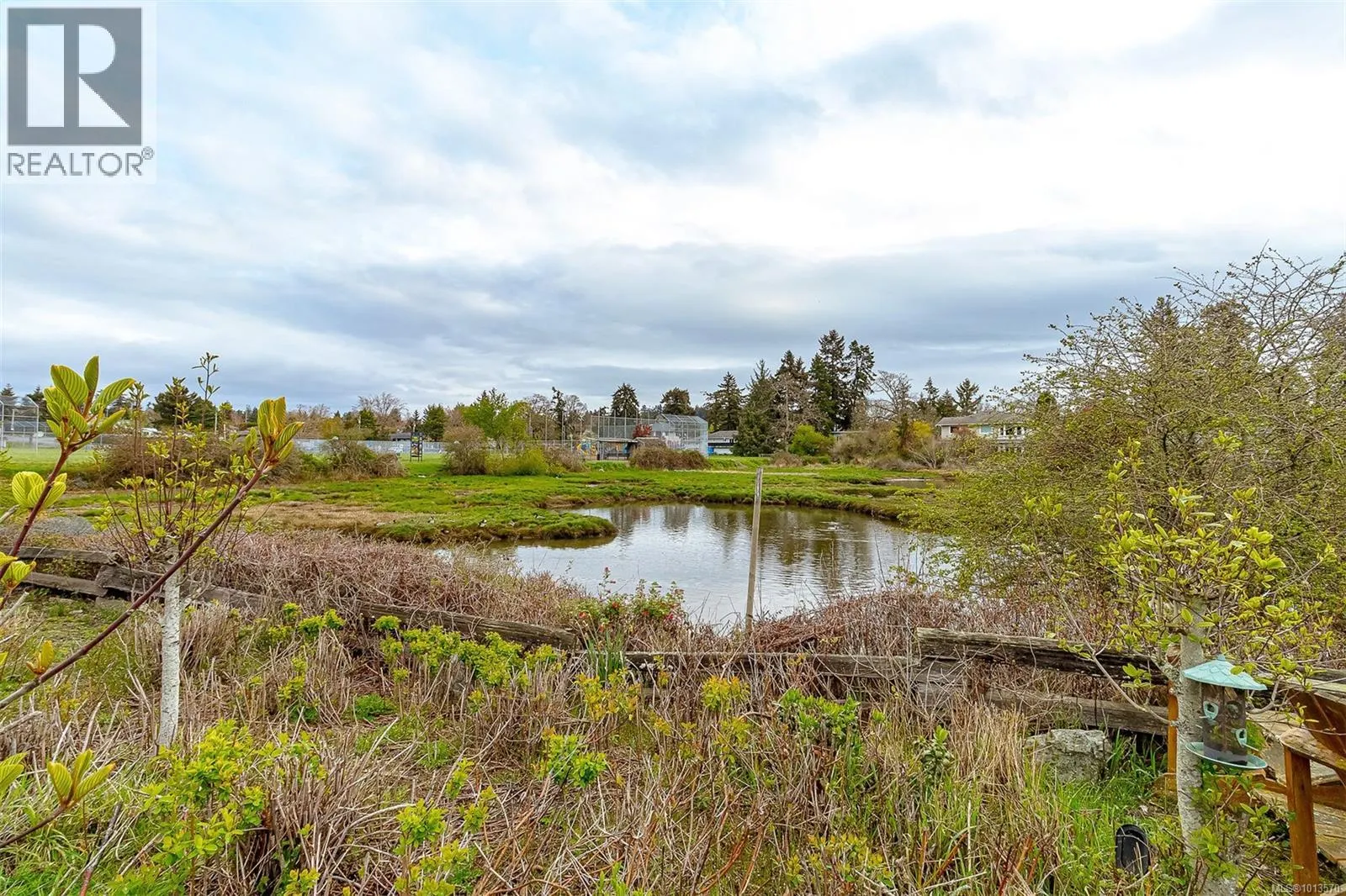 164 White Pine Rd