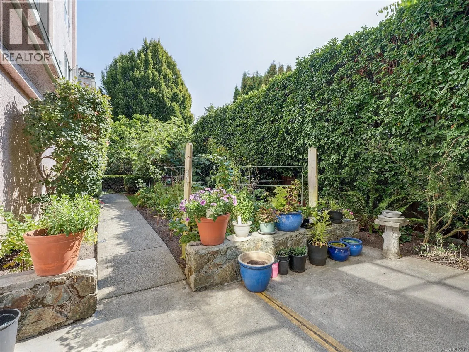 413 3133 Tillicum Rd