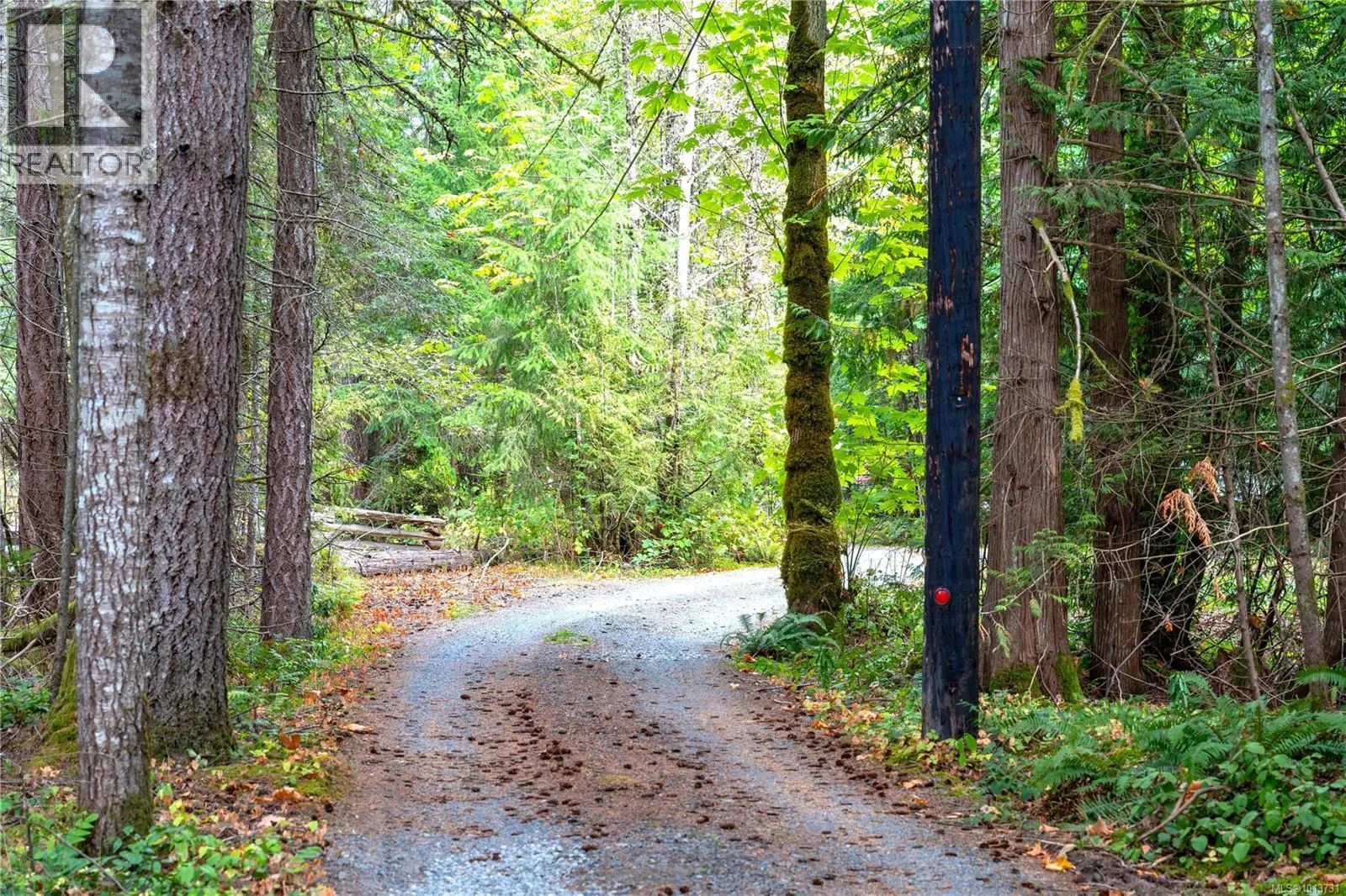 8996 Chemainus Rd