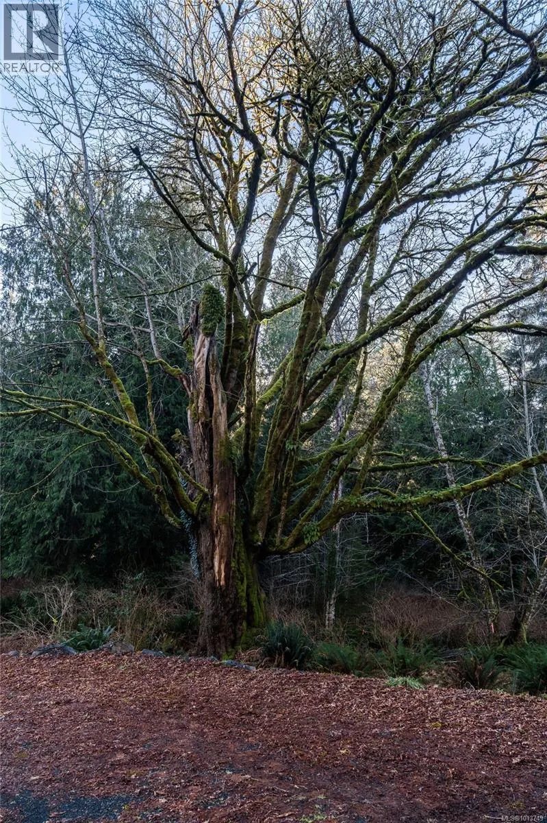 A 6550 East Sooke Rd