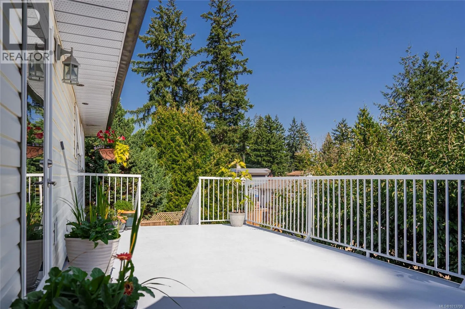2551 Stampede Trail
