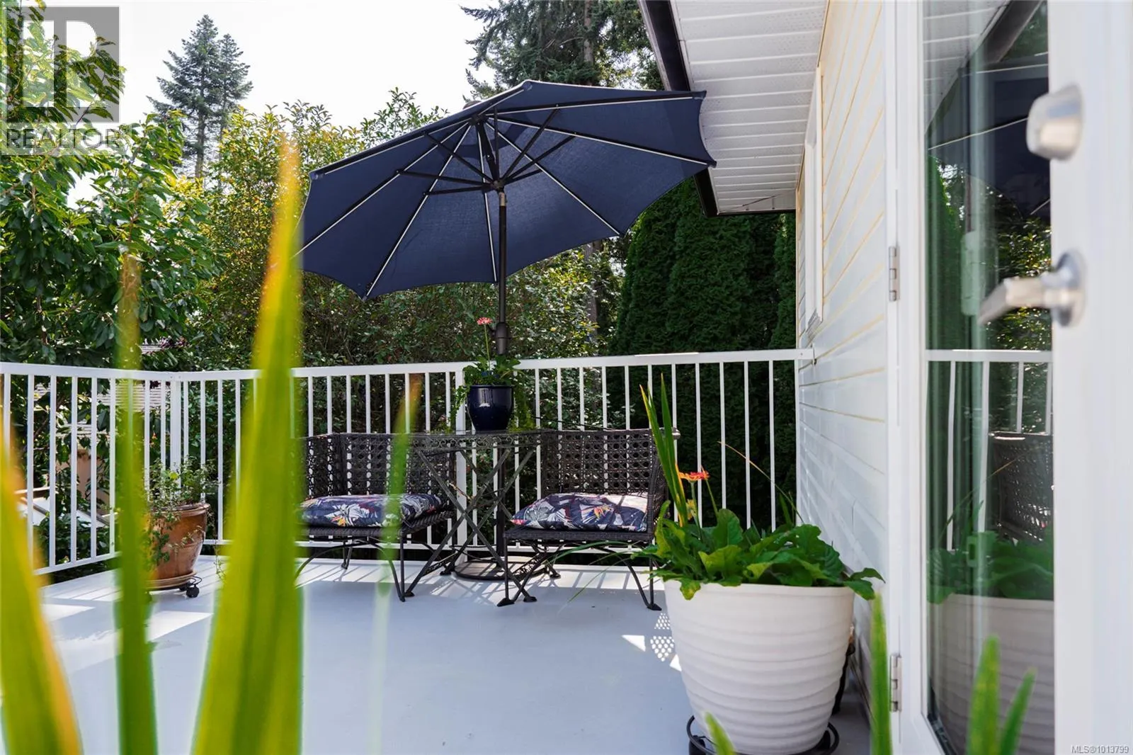 2551 Stampede Trail