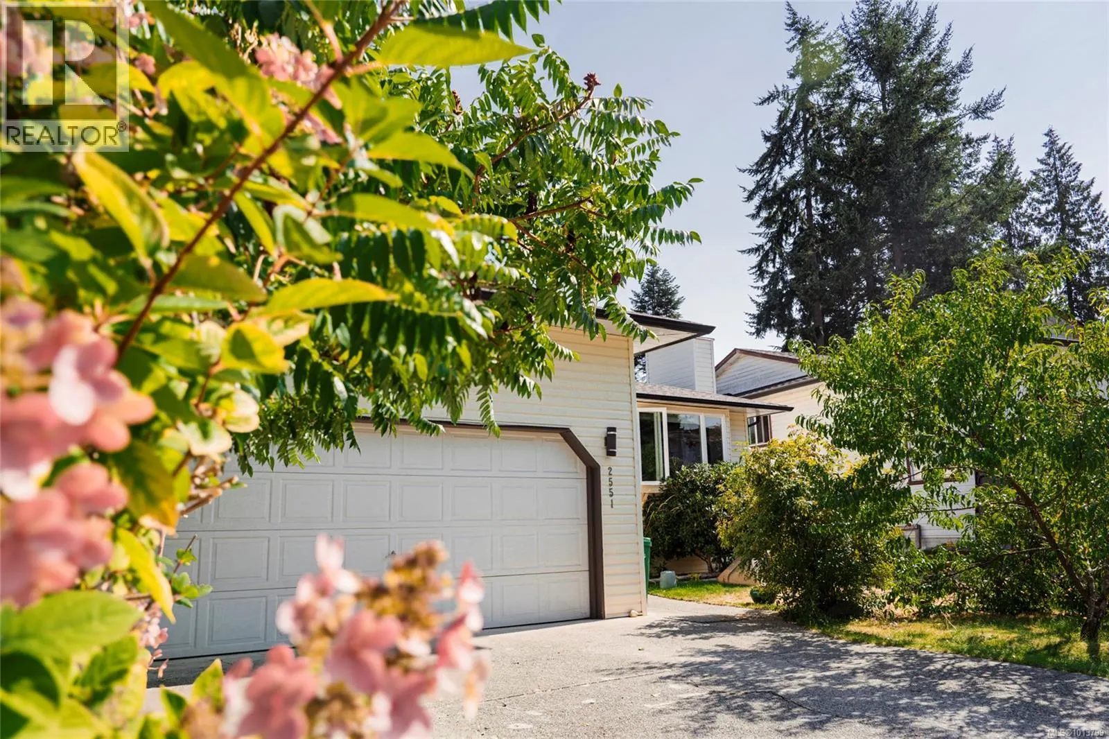 2551 Stampede Trail