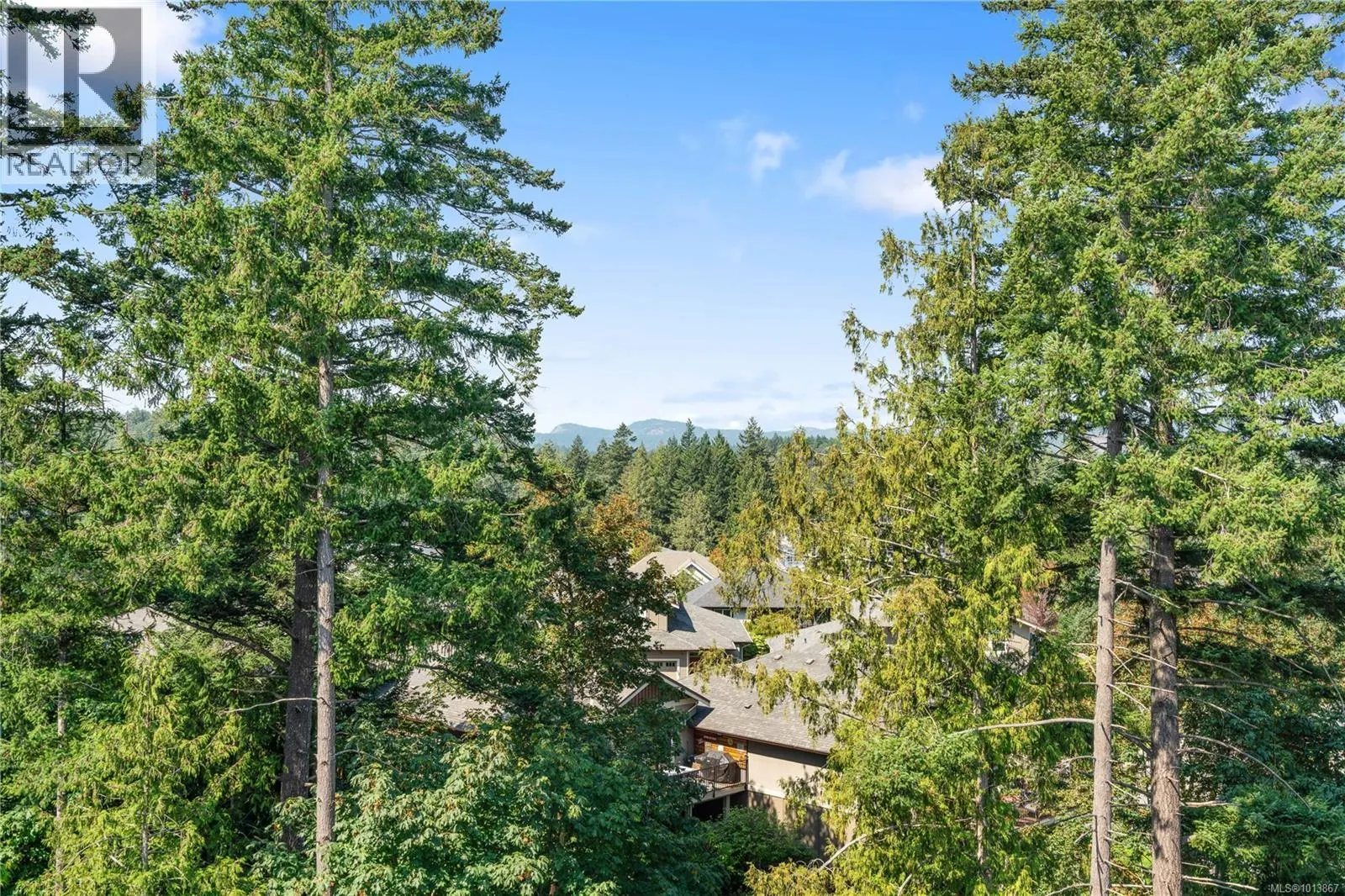 3638 Ridge View Terr