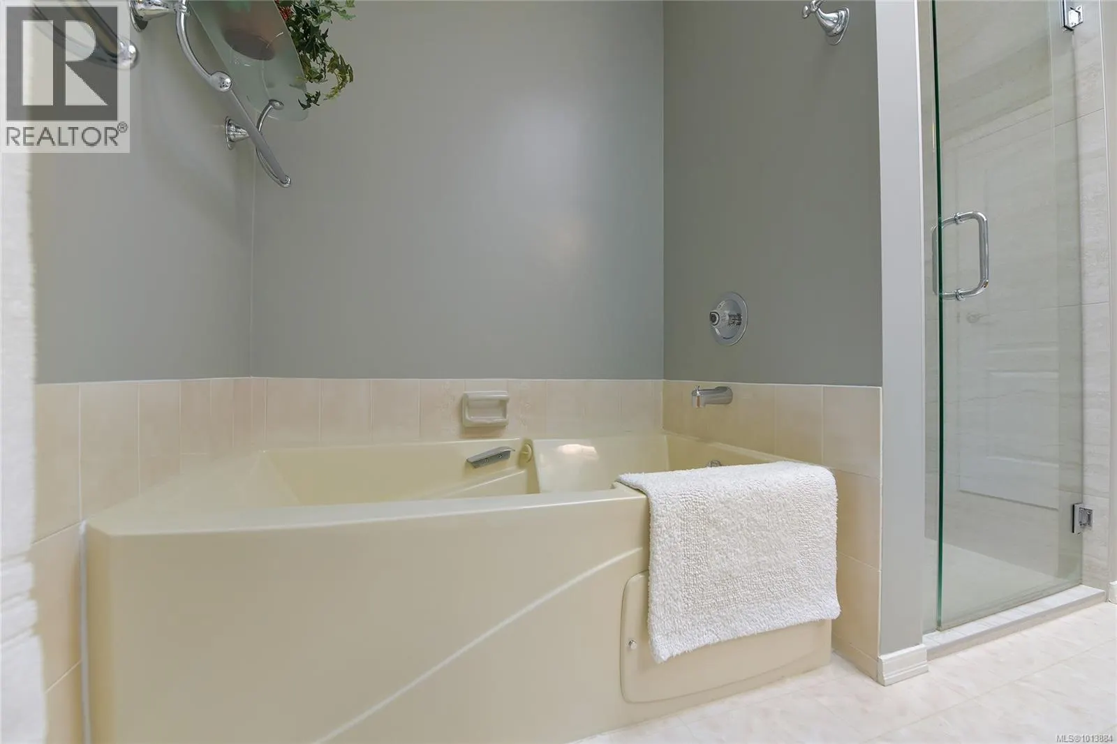 913 2829 Arbutus Rd