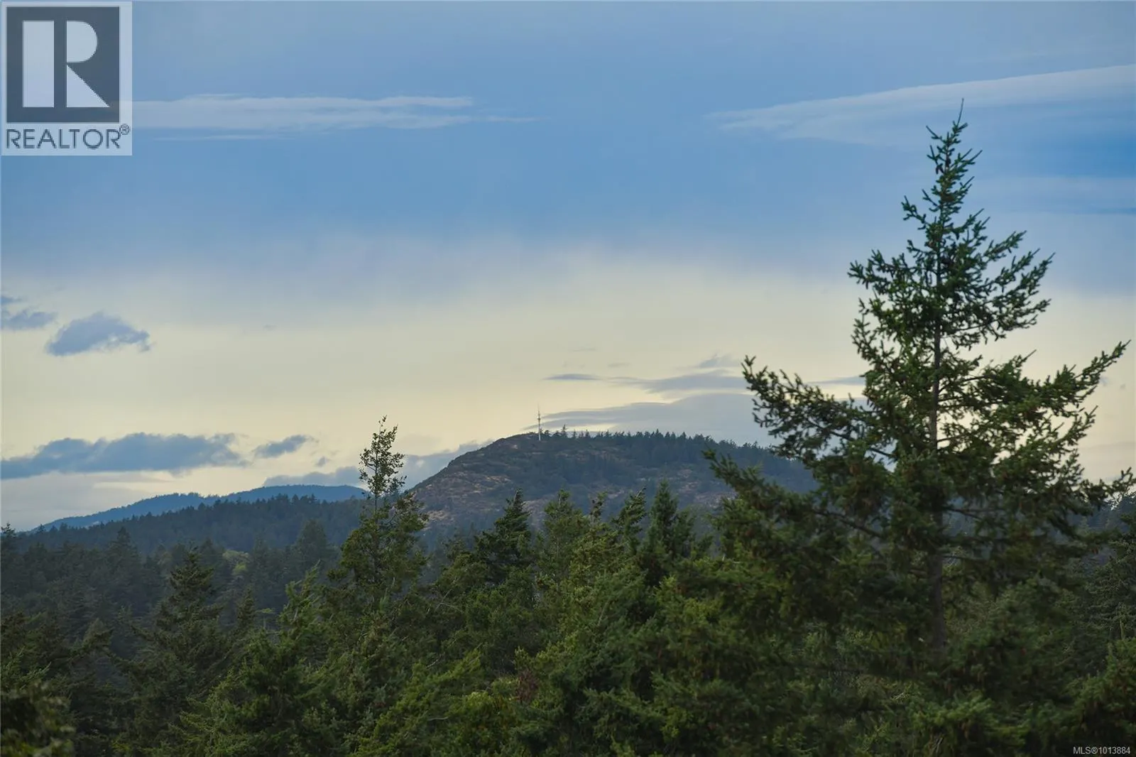 913 2829 Arbutus Rd