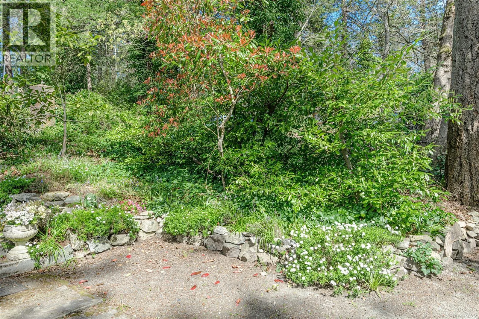 1254 Burnside Rd W