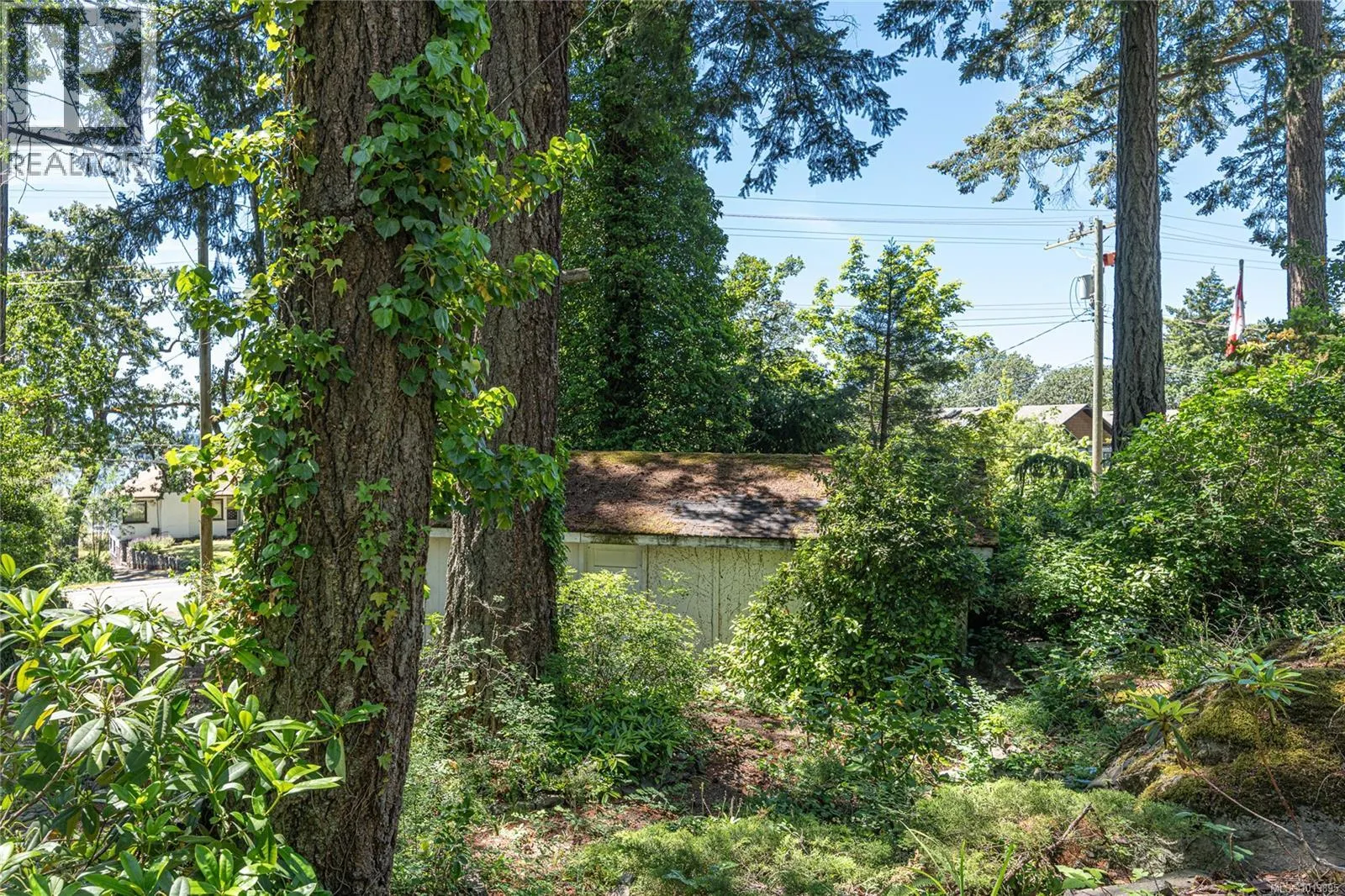 1254 Burnside Rd W