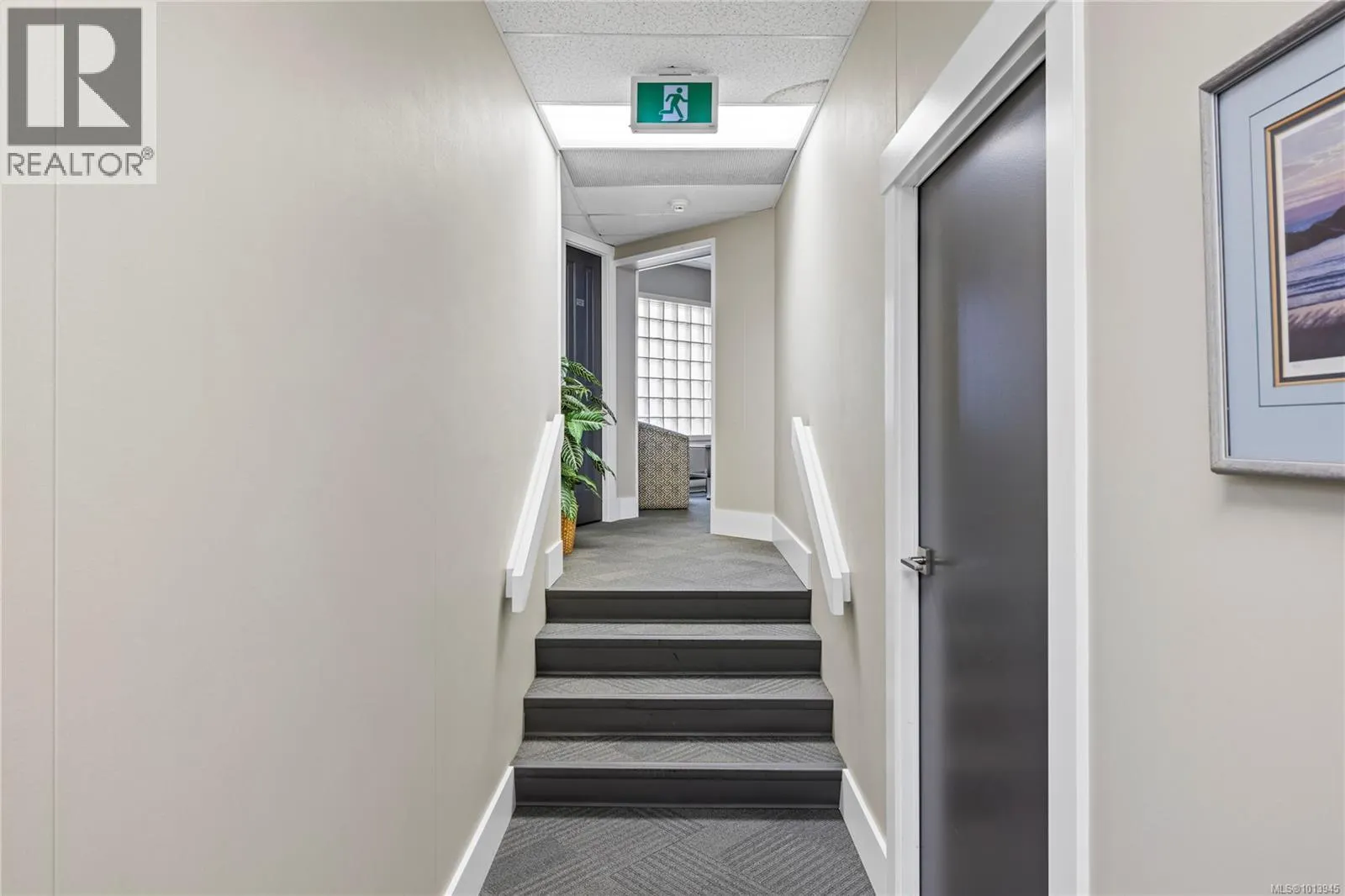 25 Cavan St